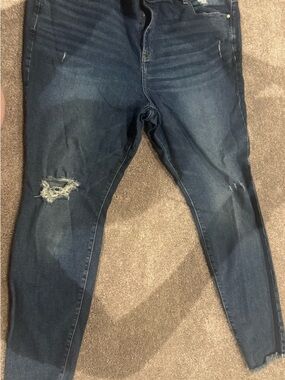 Lane Bryant Dark Wash Distressed Skinny Jeans